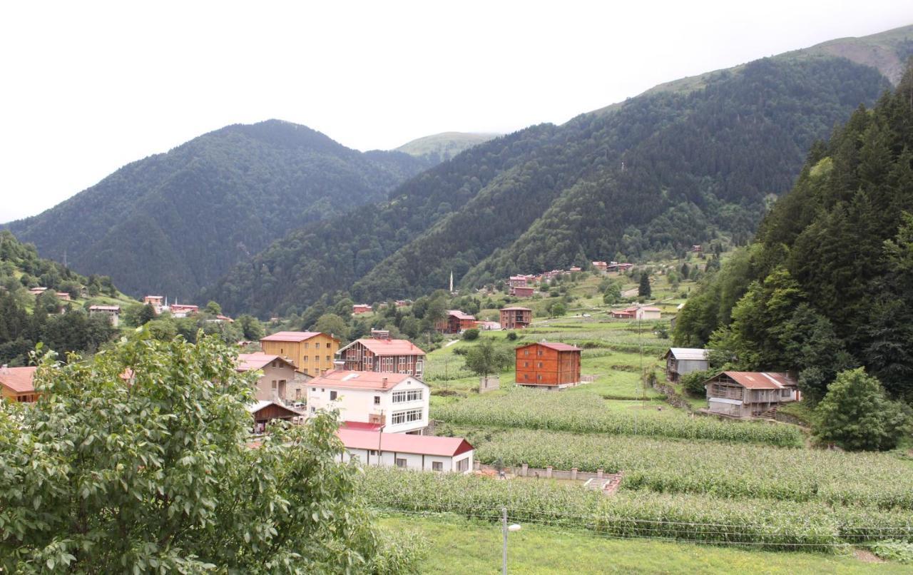 Uzungoel Zahra Apart Hotel Экстерьер фото